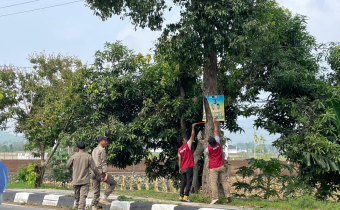 Pencopotan/ Pembersihan APK Pasangan Calon Yang maih terpasang di Pohon dilakukan di Jalan Gor Mini Gerung pada Senin 25/11/2024